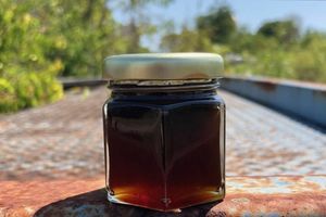 Что такое дикий бортевой мед? фото