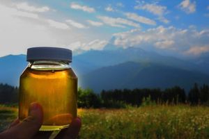 Горный мед: полезные свойства и характеристика фото
