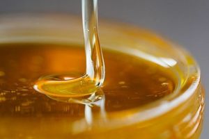 Хімічний склад меду бджолиного фото