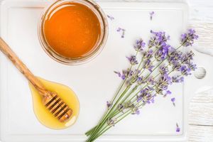 Лавандовый мёд: об особенностях сорта фото