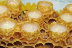 Маточное молочко пчелиное: адсорбированное или нативное? фото