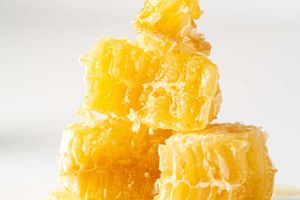 Мед сотовый: сладкий десерт в природной оболочке фото
