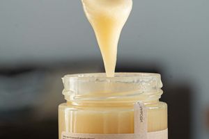 Мед з ріпаку: вишуканий бджолиний десерт фото