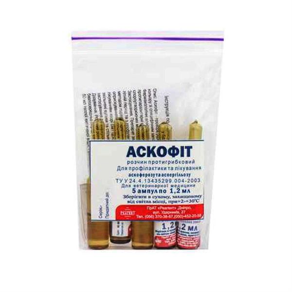 Аскофит, 1 ампула, 1,2 мл askofyt-1 фото